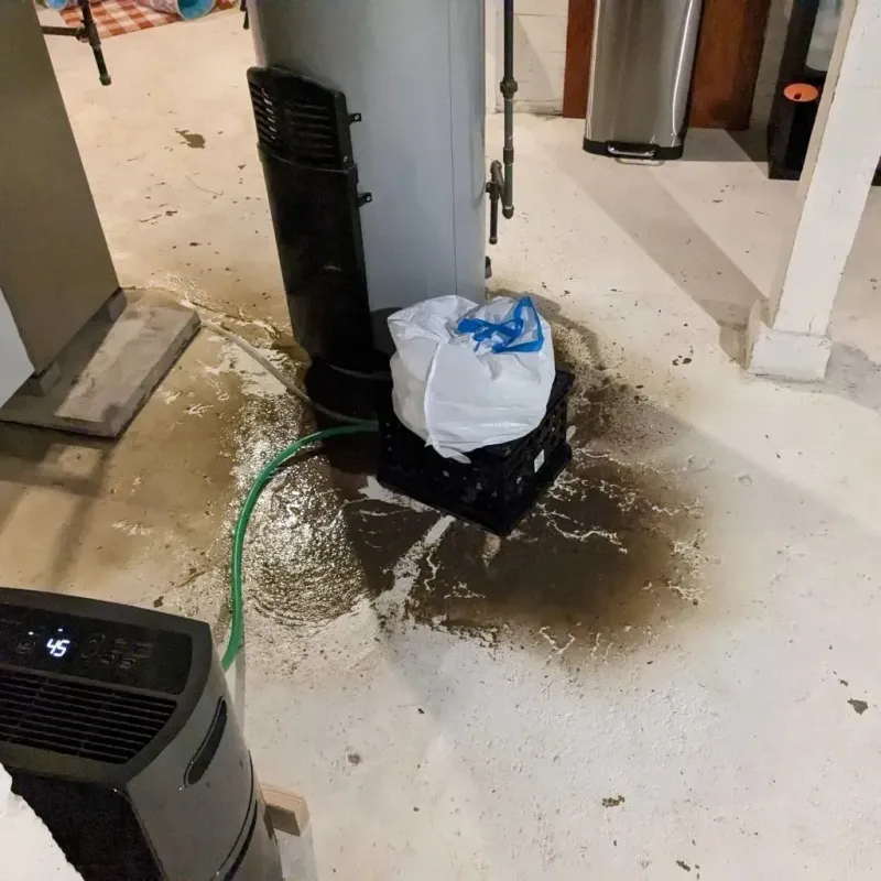 Sewage Backup Cleanup Service in New Oxford, PA